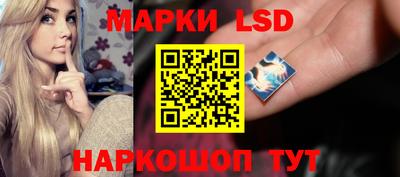 стафф Камышлов