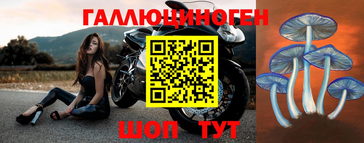 Бирск  Галлюциногенные грибы Cubensis  Вход с VPN 